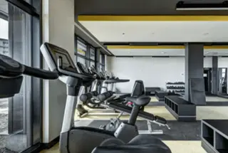Gymnasium
